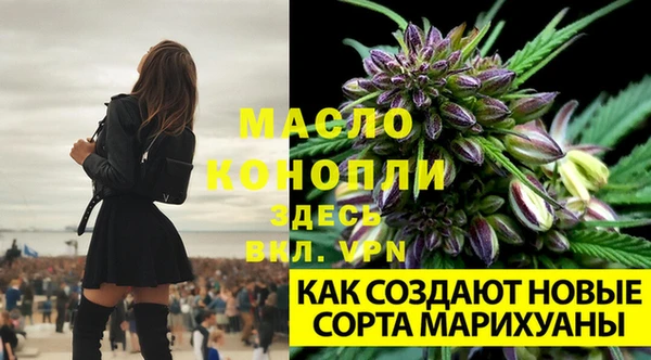 крисы Алексеевка